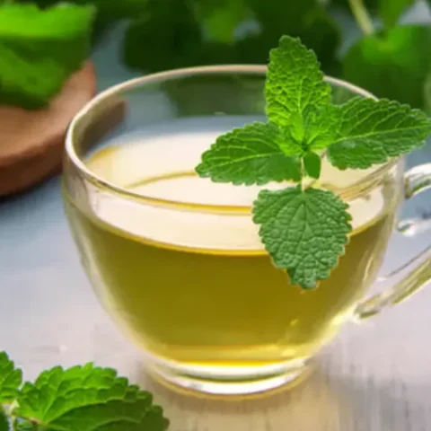 how to take lemon balm for weight loss