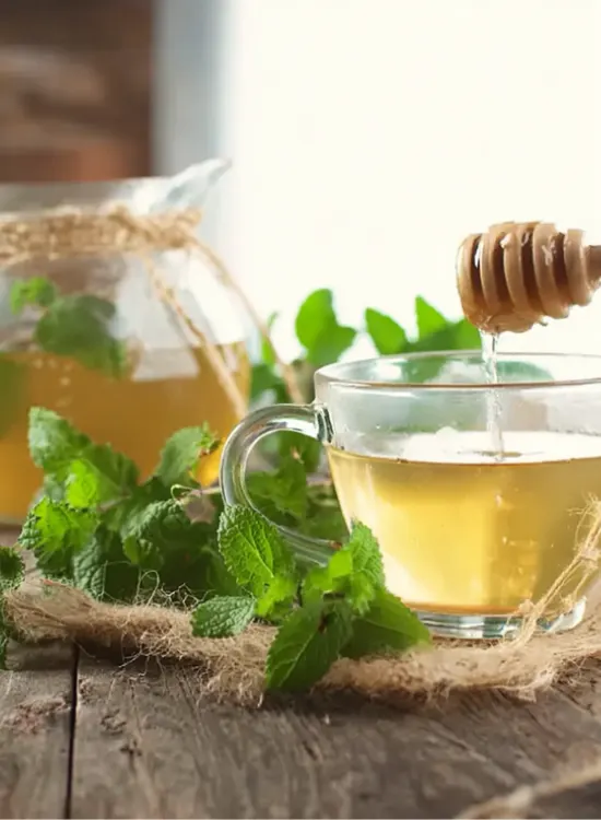 lemon balm for weight loss recipe