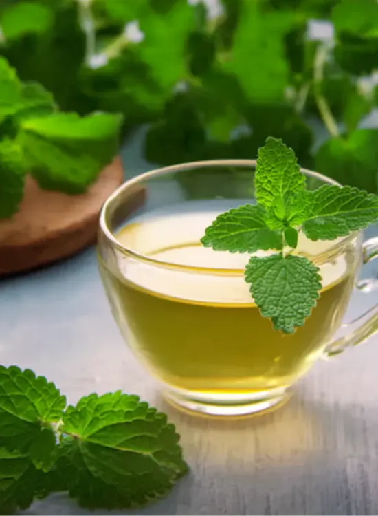lemon balm for weight loss