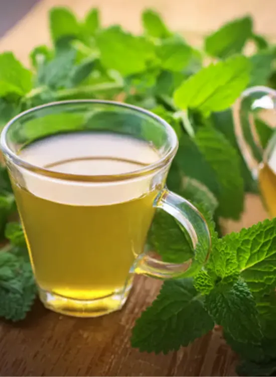 lemon balm recipe for weight loss