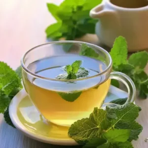 lemon balm water recipe for weight loss